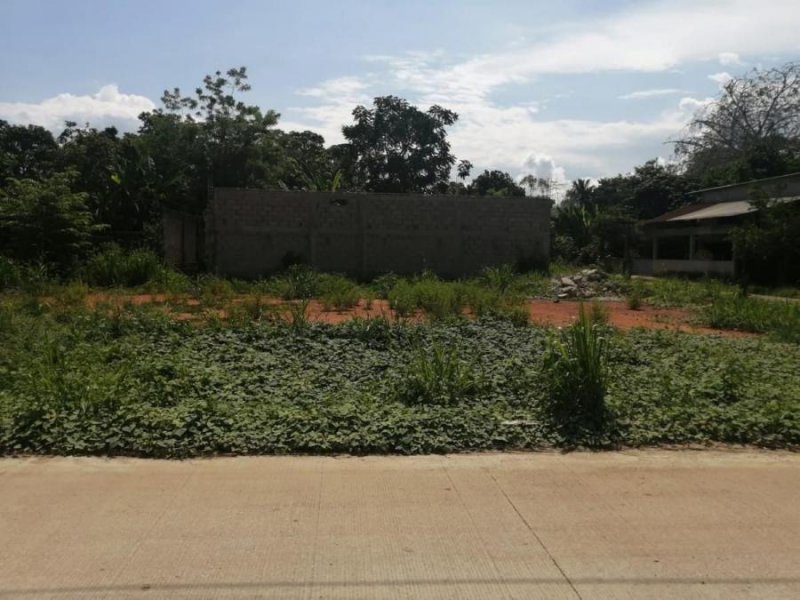 Terreno en Renta en Palmas del Ingenio Veracruz, Oaxaca