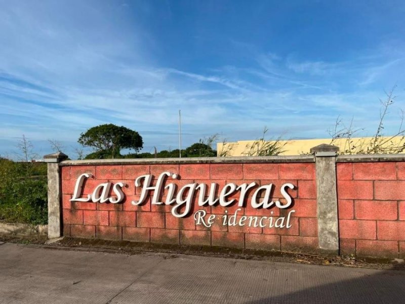 Terreno en Renta en Las Higueras Alvarado, Veracruz