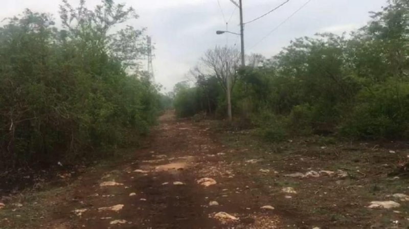 Foto Terreno en Venta en Mérida, Yucatan - $ 255.000 - TEV297839 - BienesOnLine