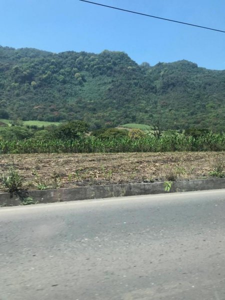 Foto Terreno en Venta en Chocomán, Coscomatepec de Bravo, Veracruz - $ 3.000.000 - TEV313950 - BienesOnLine