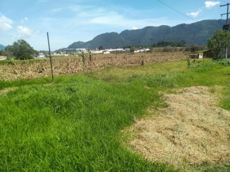 Foto Terreno en Venta en tomatlán, Tomatlán, Veracruz - $ 6.000.000 - TEV313955 - BienesOnLine