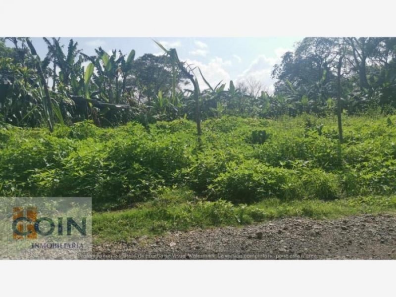 Foto Terreno en Venta en Guadalupe Berreal, Córdoba, Veracruz - $ 1.677.500 - TEV315052 - BienesOnLine