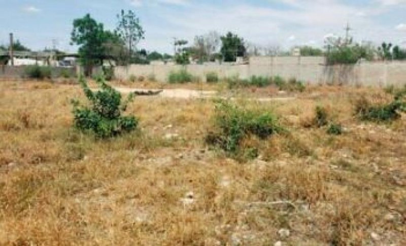 Foto Terreno en Venta en OBRERA, MERDA, Yucatan - $ 417.500 - TEV315591 - BienesOnLine