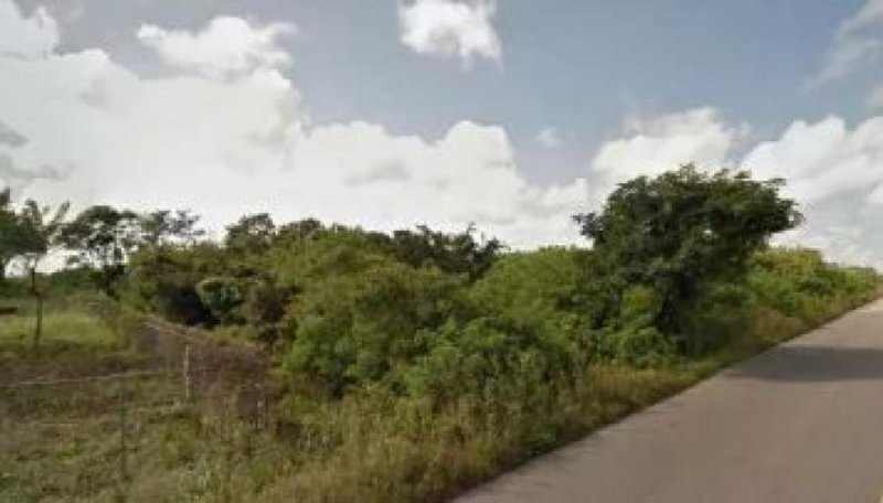 Foto Terreno en Venta en BRISAS DE UMAN, Umán, Yucatan - $ 90.000 - TEV321172 - BienesOnLine