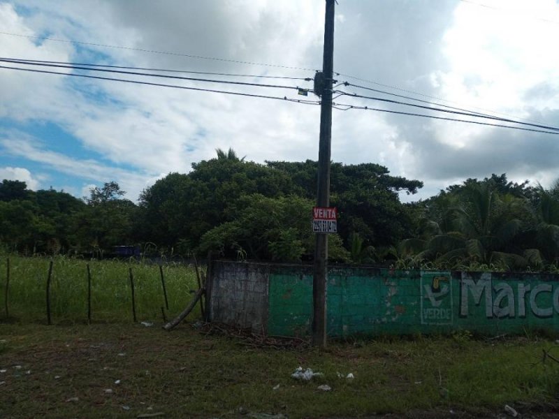 Foto Terreno en Venta en El Tejar, Medellín, Veracruz - $ 950.000 - TEV329872 - BienesOnLine