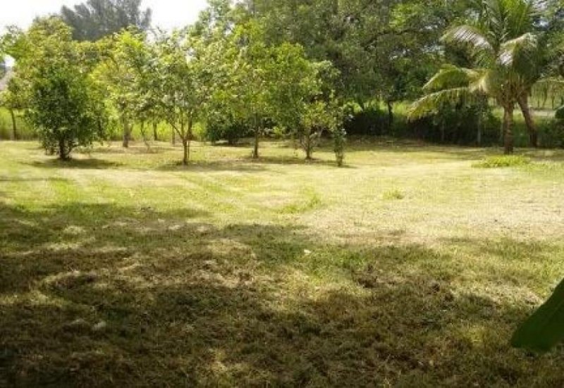 Terreno en Venta en CENTRO Santiago Tuxtla, Veracruz