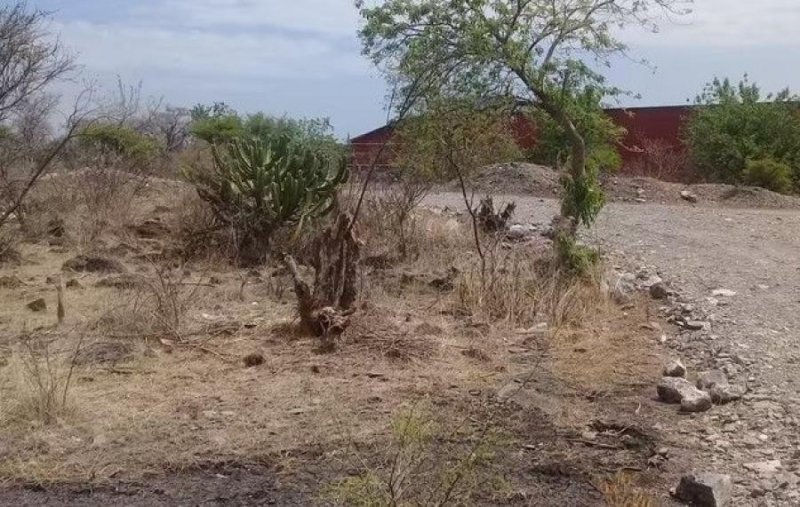 Terreno en Venta en El arenal Chinameca, Veracruz