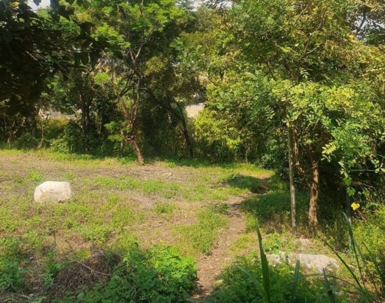 Terreno en Venta en  La Estanzuela, Veracruz