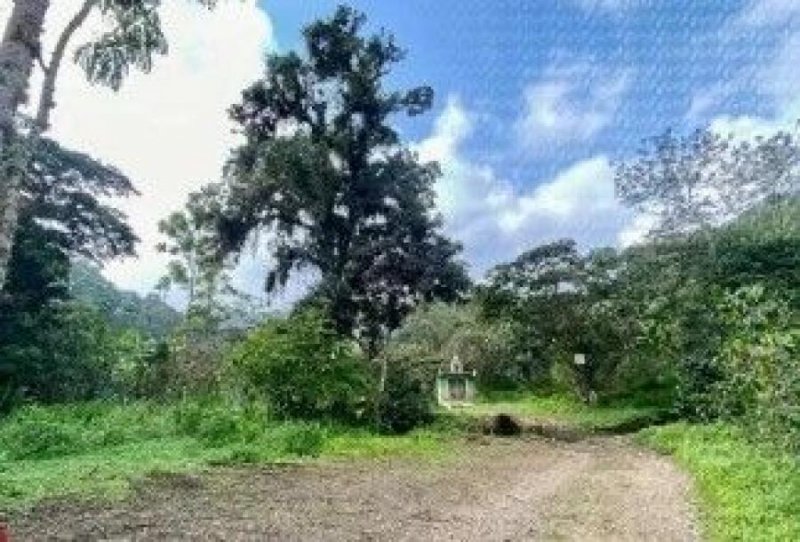 Terreno en Venta en EL HAYA Xico, Veracruz