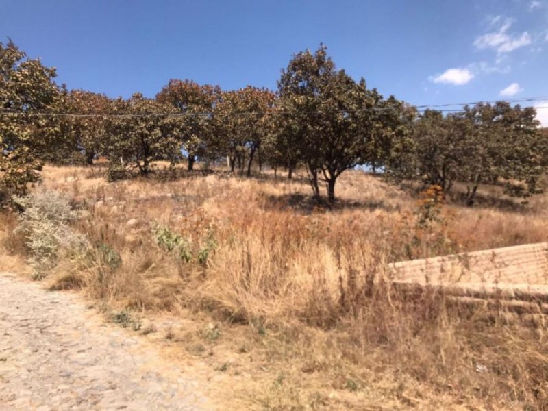 Terreno en Venta en EL TARAY Zapopan, Jalisco