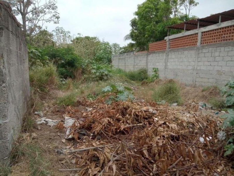 Foto Terreno en Venta en Fortín de las Flores, Veracruz - $ 216.250 - TEV351394 - BienesOnLine