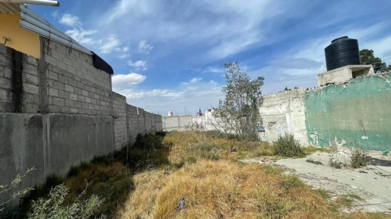 Terreno en Venta en EL SABINAL Perote, Veracruz