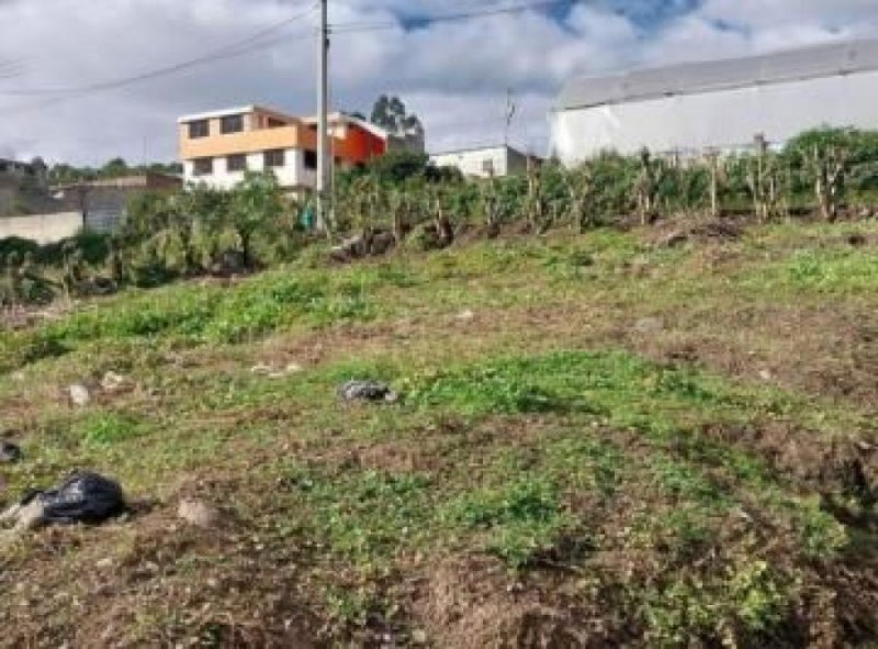 Terreno en Venta en VALLE DE LOS GIRASOLES Ixtlahuacán de los Membrillos, Jalisco