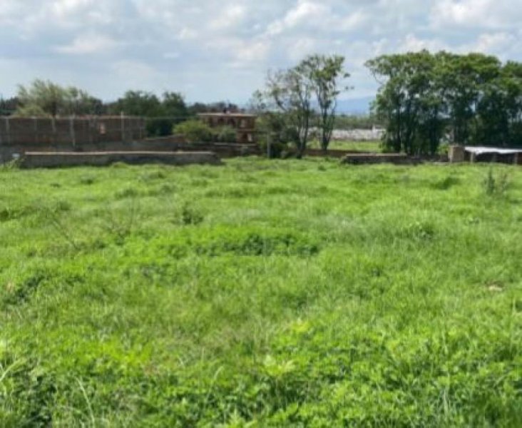 Terreno en Venta en Valle de Los Girasoles Ixtlahuacán de los Membrillos, Jalisco