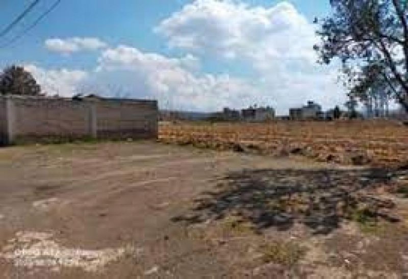 Terreno en Venta en Centro El Grullo, Jalisco