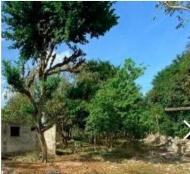 Foto Terreno en Venta en Mérida, Yucatan - $ 332.000 - TEV312163 - BienesOnLine