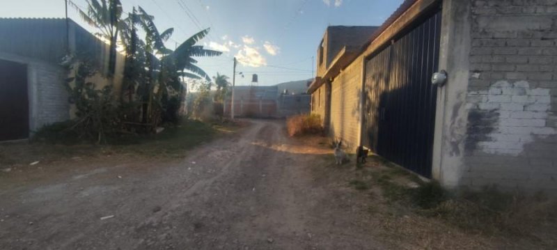 Foto Terreno en Venta en GERTRUDIS SANCHEZ, Morelia, Michoacan de Ocampo - $ 260.000 - TEV349861 - BienesOnLine