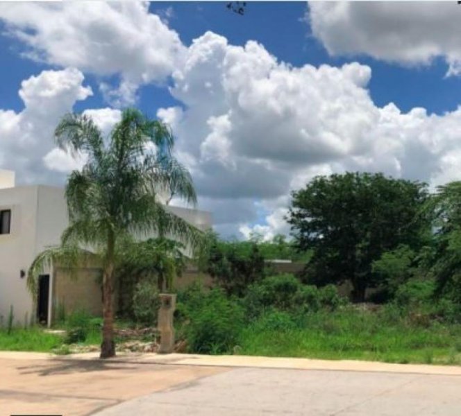 Foto Terreno en Venta en Mérida, Yucatan - $ 56.250 - TEV312126 - BienesOnLine