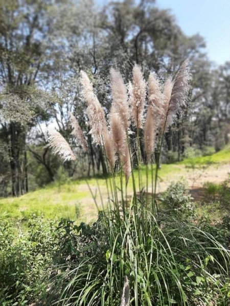 Terreno en Venta en Santa maría mazantla Atizapan de Zaragoza, Mexico