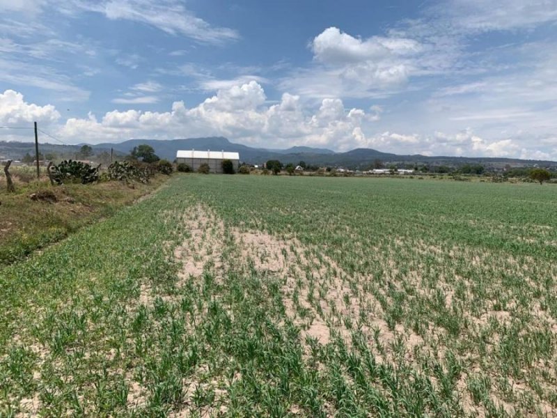 Terreno en Venta en Zona centro Acatlán hgo Acatlán, Hidalgo