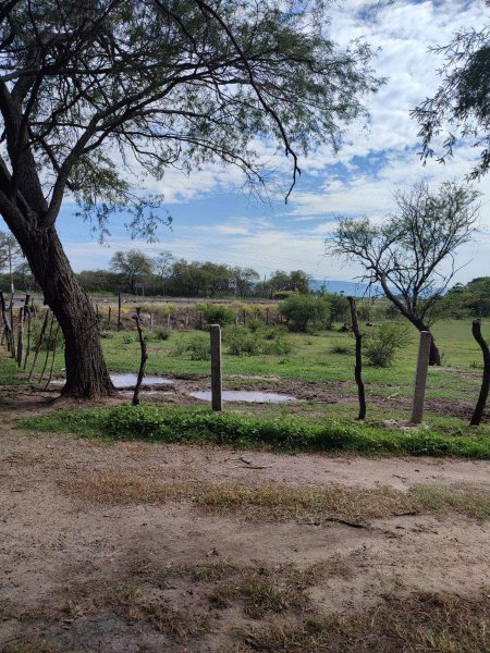 Terreno en Venta en LABOR DE MEDINA AMECA, Jalisco