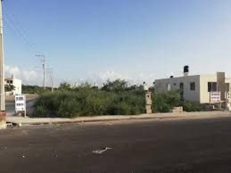 Foto Terreno en Venta en Ampliación Txicacal Opichen, Mérida, Yucatan - $ 160.000 - TEV304399 - BienesOnLine