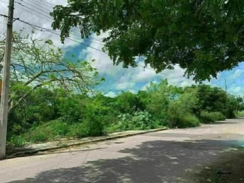 Foto Terreno en Venta en Ampliación Txicacal Opichen, Mérida, Yucatan - $ 160.000 - TEV304401 - BienesOnLine