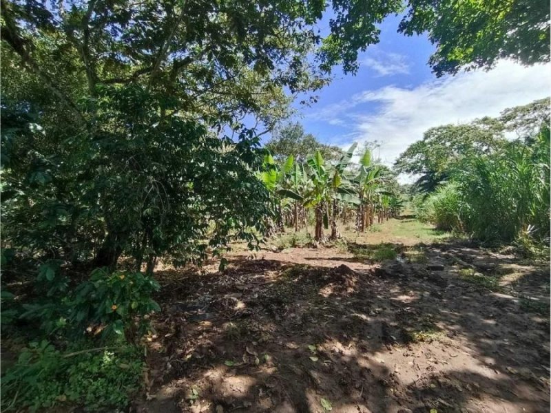 Terreno en venta en Cardel