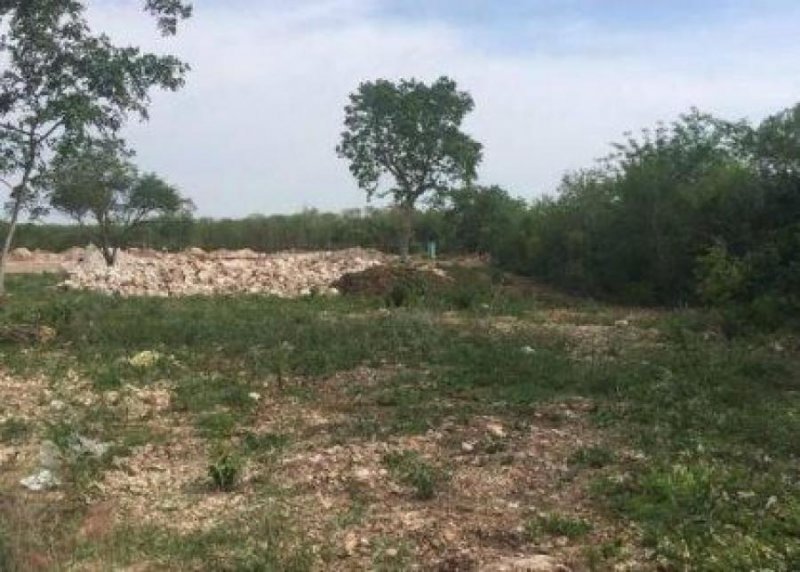 Foto Terreno en Venta en CAUCEL, Mérida, Yucatan - $ 500.000 - TEV281067 - BienesOnLine