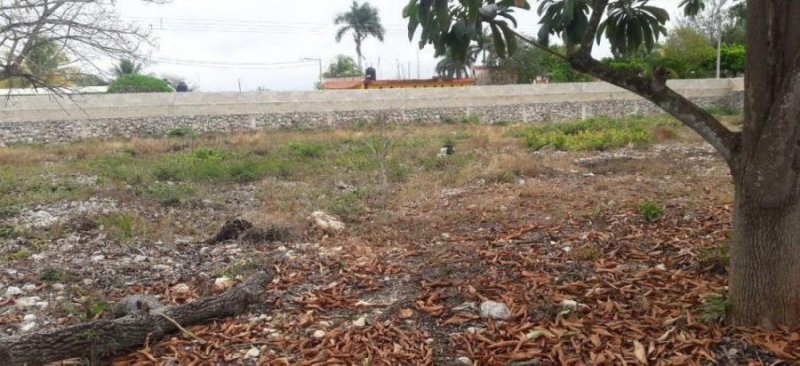 Foto Terreno en Venta en Mérida, Yucatan - $ 320.000 - TEV312413 - BienesOnLine