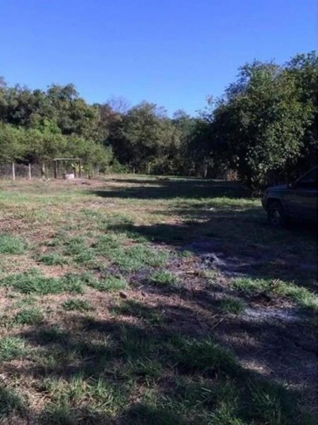 Terreno en Venta en CEJA BLANCA Iguala de la Independencia, Guerrero