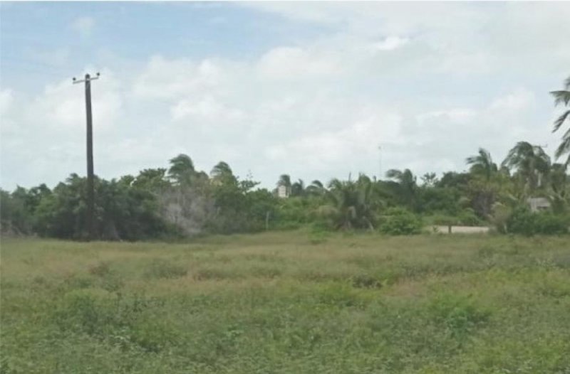 Foto Terreno en Venta en CHICXULUB, CHICXULUB, Yucatan - $ 2.550.000 - TEV296687 - BienesOnLine