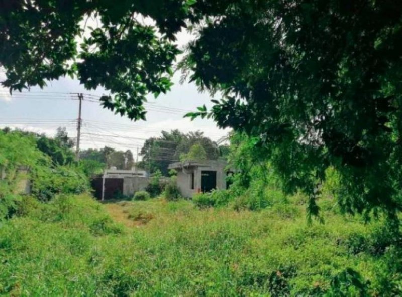 Foto Terreno en Venta en CHUBURNA DE HIDALGO, Mérida, Yucatan - $ 640.000 - TEV293949 - BienesOnLine