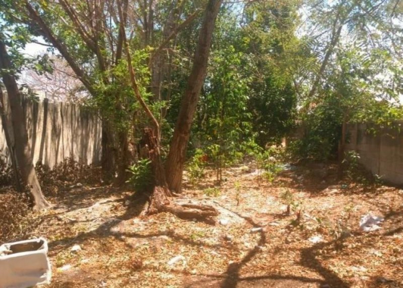 Foto Terreno en Venta en LIMONES, Mérida, Yucatan - $ 640.000 - TEV294759 - BienesOnLine