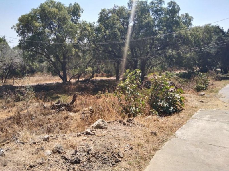 Terreno en Venta en ACOZAC Ixtapaluca, Mexico