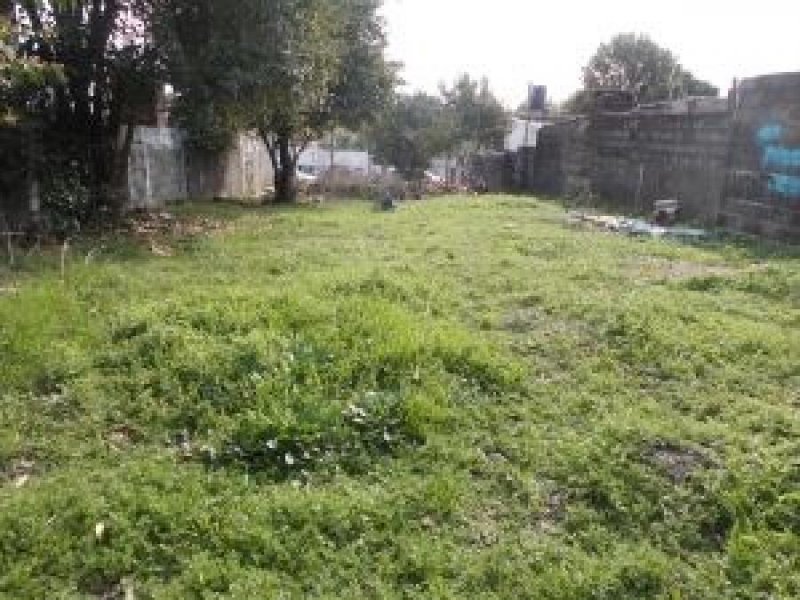 Foto Terreno en Venta en CENTRO, Mérida, Yucatan - $ 332.000 - TEV307053 - BienesOnLine