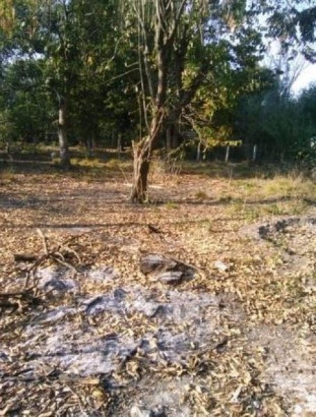 Foto Terreno en Venta en FLOR DE MAYO, Kanasín, Yucatan - $ 85.500 - TEV310385 - BienesOnLine