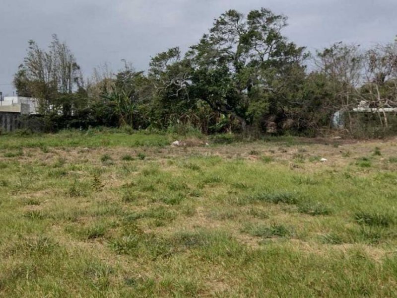 Foto Terreno en Venta en Fortín de las Flores, Veracruz - $ 235.290 - TEV351396 - BienesOnLine