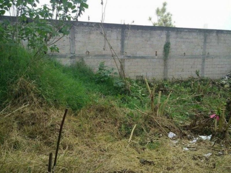 Terreno en Venta en Ricardo Ballinas Fortín de las Flores, Veracruz