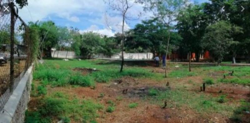 Foto Terreno en Venta en FRANCISCO VILLA ORIENTE, Kanasín, Yucatan - $ 100.000 - TEV296884 - BienesOnLine