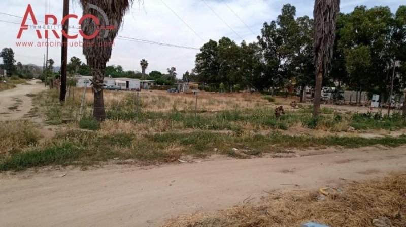 Terreno en Venta en  El Porvenir (Guadalupe), Baja California