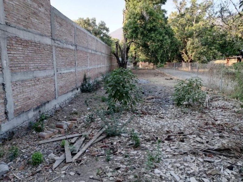 Terreno en Renta en TUXPAN Iguala de la Independencia, Guerrero