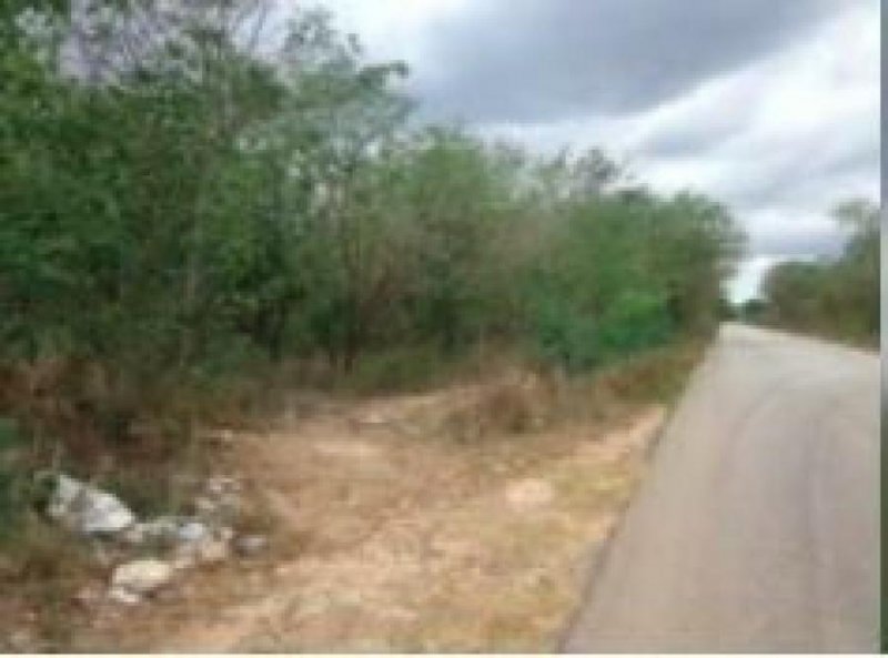 Foto Terreno en Venta en Gran Calzada, Umán, Yucatan - $ 176.000 - TEV314339 - BienesOnLine