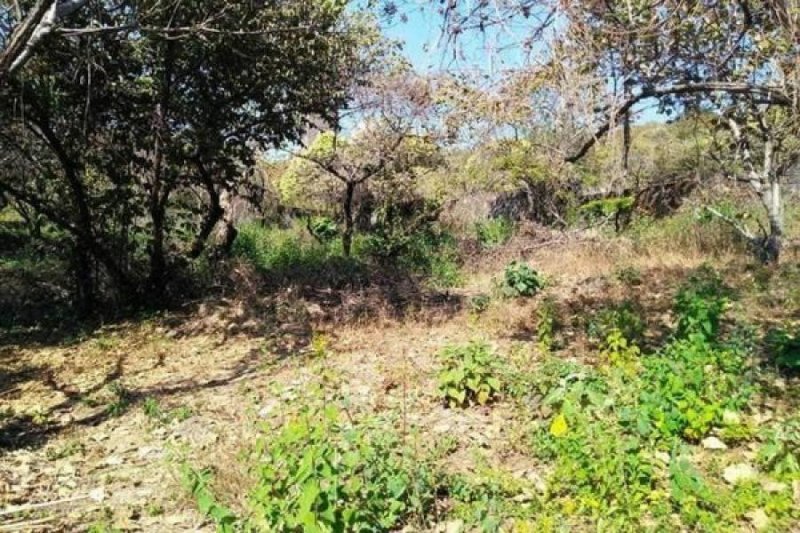 Terreno en Venta en HEBERTO CASTILLO Iguala de la Independencia, Guerrero