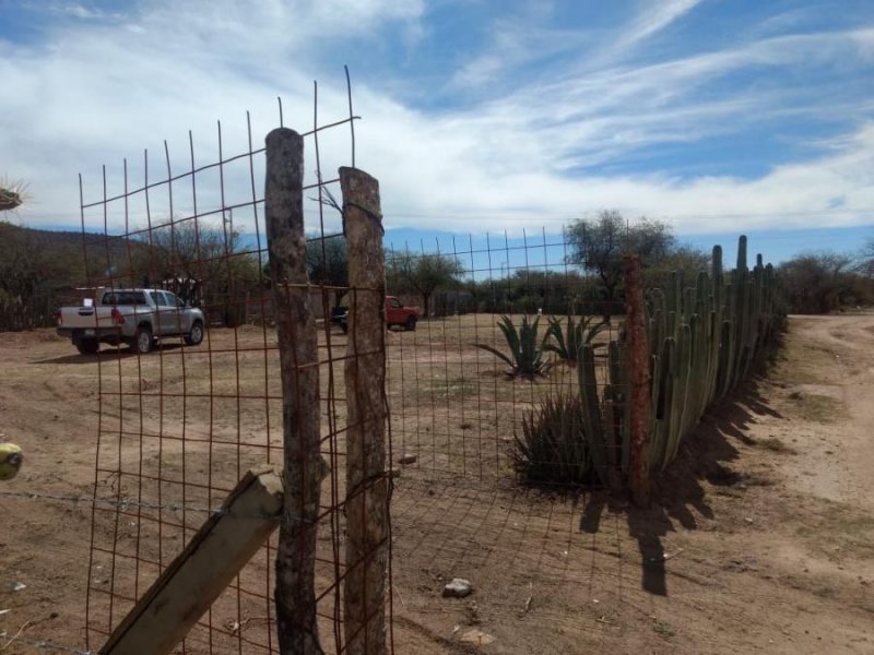 Terreno en Venta en LA PILA San Luis Potosí, San Luis Potosi