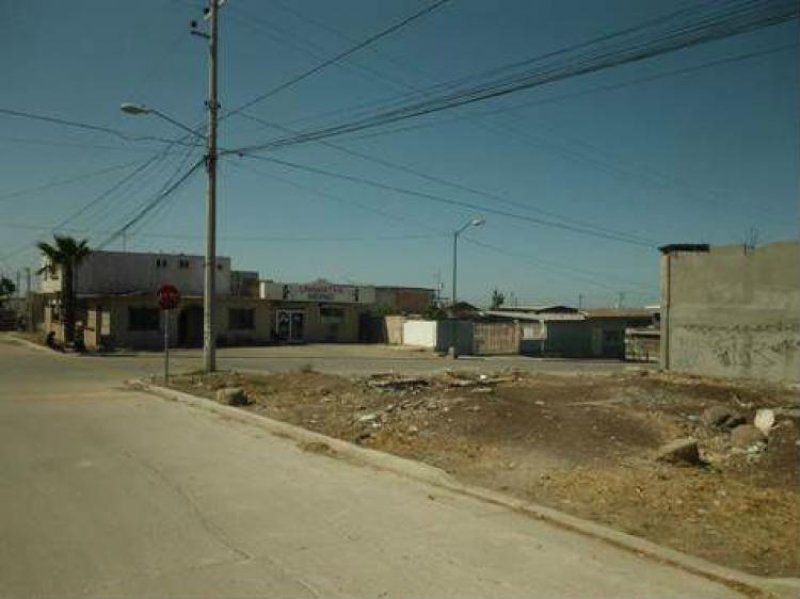 Foto Terreno en Venta en Rosarito, Baja California - U$D 40.000 - TEV97893 - BienesOnLine