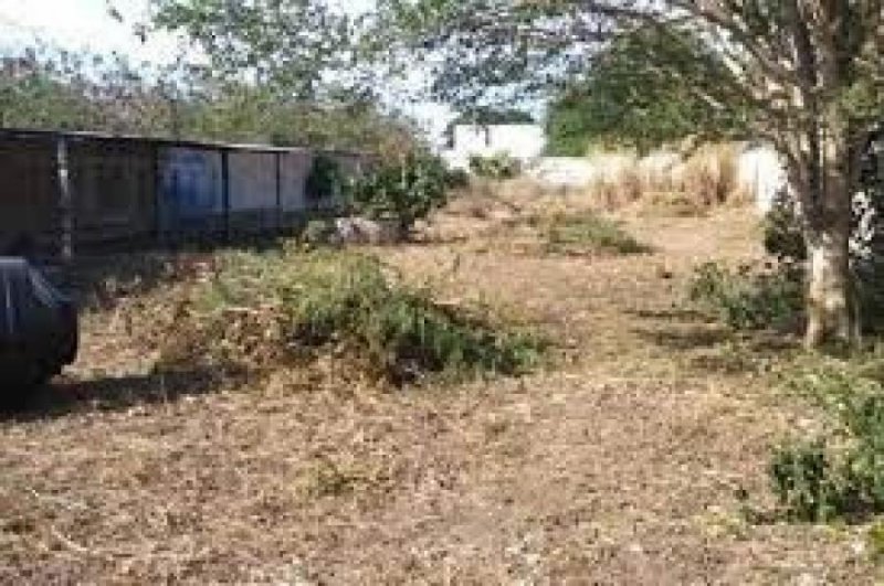 Foto Terreno en Venta en CONKAL, Conkal, Yucatan - $ 1.650.000 - TEV306777 - BienesOnLine