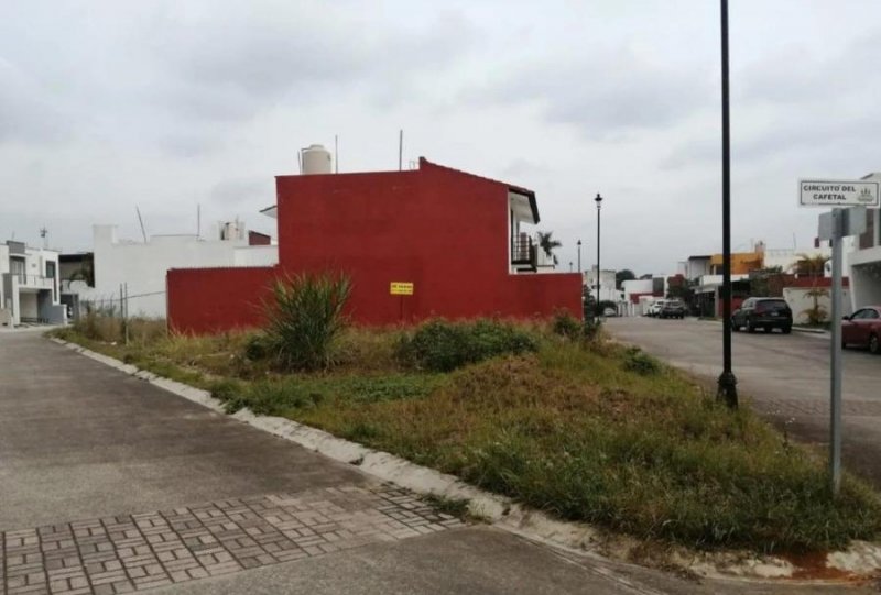 Terreno en Venta en Trinidad Chica Córdoba, Veracruz