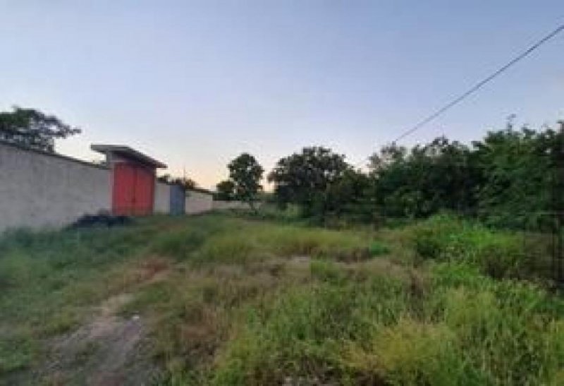 Foto Terreno en Venta en LOS HÉROES, Mérida, Yucatan - $ 324.000 - TEV306992 - BienesOnLine