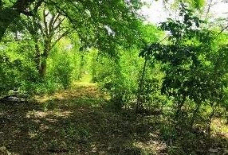 Foto Terreno en Venta en MAXCANU, Maxcanú, Yucatan - $ 74.250 - TEV277623 - BienesOnLine